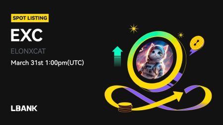 $EXC (ELONXCAT) will be listed soon on LBank!